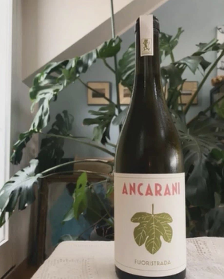 “Fuoristrada” Romagna Bianco Oriolo DOC  2023