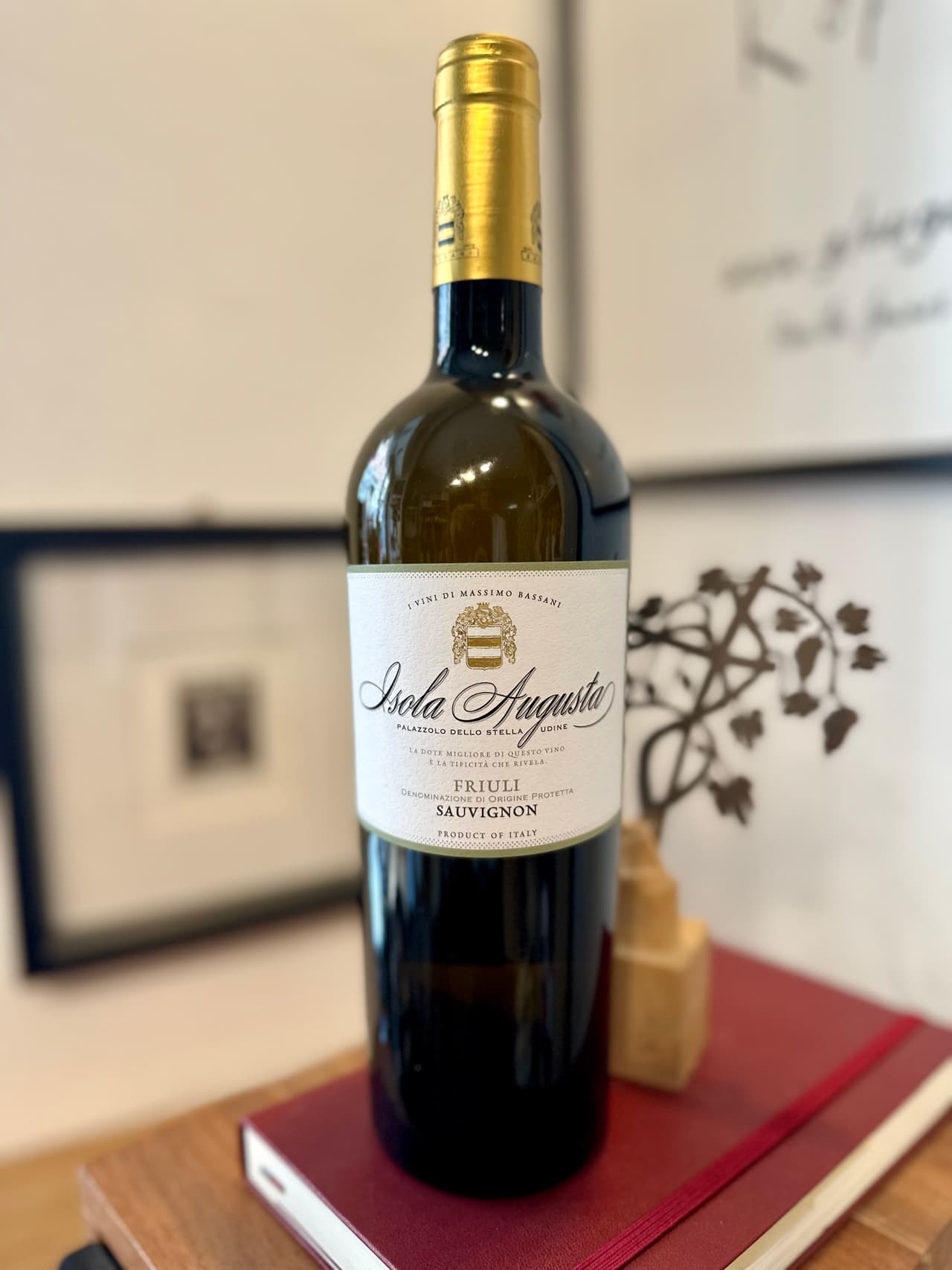 Sauvignon DOP Friuli