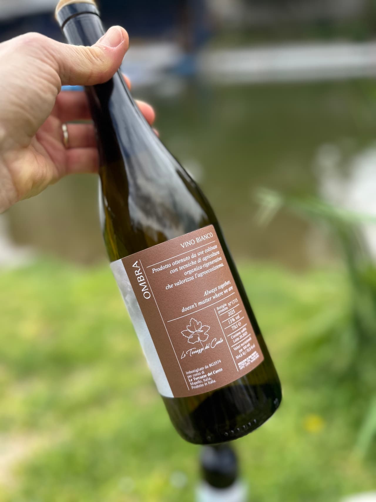 “Ombra” vino bianco