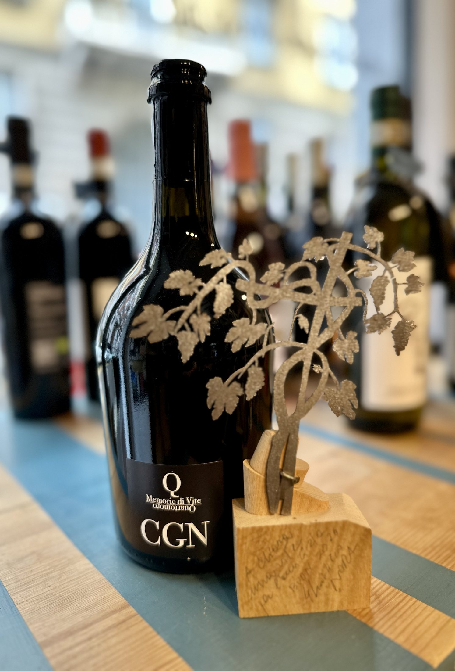 "CGN" Memorie di Vite 